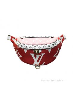Louis Vuitton Bumbag Waist Bag M43664