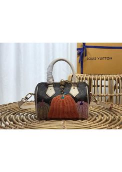 Louis Vuitton LVxYK Speedy Bandouliere 20 Bag with colorful Pumpkin print m46469 