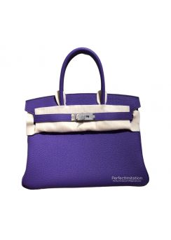 Hermes VIP Birkin Togo Leather Top Handle Bag Hermes Luxury Bags 255029