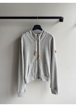 Louis vuitton 2025 Light Grey Logo Hoodie Grey LV2512746